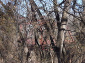 Enlarge photo 30