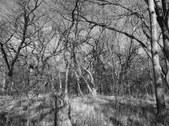 Enlarge photo 33