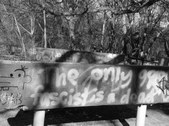 Enlarge photo 35