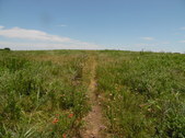 Enlarge photo 17