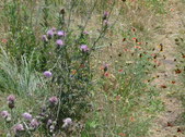 Enlarge photo 18
