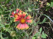 Enlarge photo 19