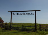The Flower Mound 11