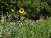 Enlarge photo 11