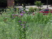 Enlarge photo 17