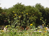 Enlarge photo 19