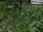 Enlarge photo 30