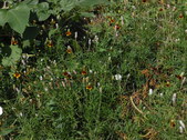 Enlarge photo 34