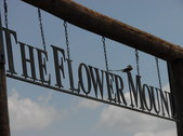 The Flower Mound 12