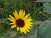 Enlarge photo 27