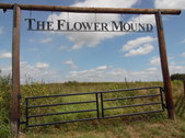 The Flower Mound 6