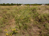 Enlarge photo 18