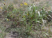 Enlarge photo 25