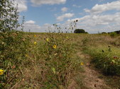 Enlarge photo 28