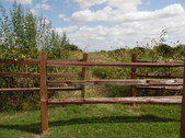 Enlarge photo 29