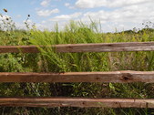 Enlarge photo 31