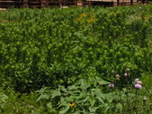Enlarge photo 10