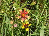 Enlarge photo 32