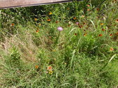 Enlarge photo 33
