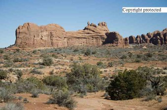 Enlarge photo 21