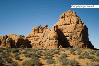 Enlarge photo 26