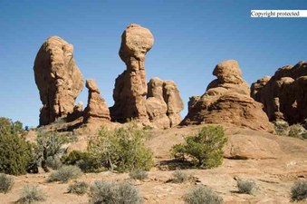 Enlarge photo 28