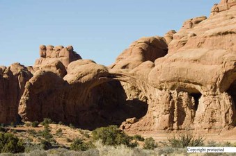 Enlarge photo 35
