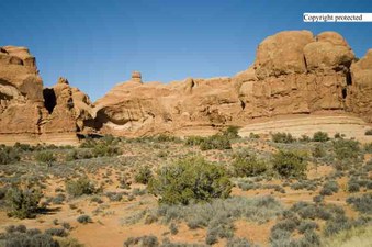 Enlarge photo 40