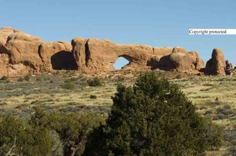 Enlarge photo 44