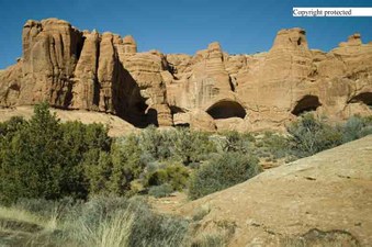 Enlarge photo 48