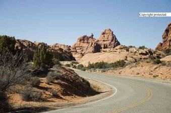Enlarge photo 49