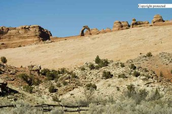Enlarge photo 51