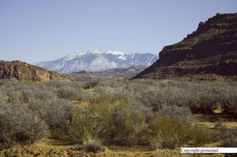 Enlarge photo 52