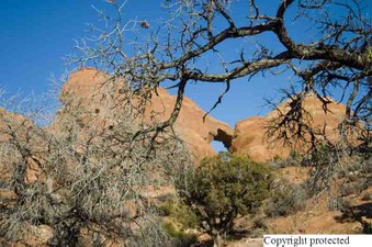 Enlarge photo 55