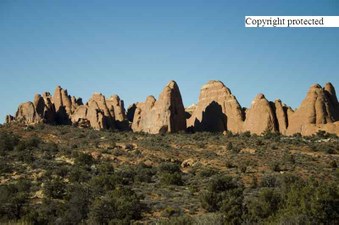 Enlarge photo 56