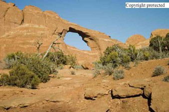 Enlarge photo 58