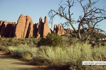 Enlarge photo 59