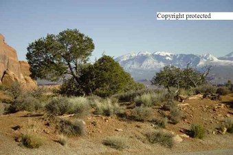 Enlarge photo 61
