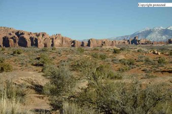 Enlarge photo 63