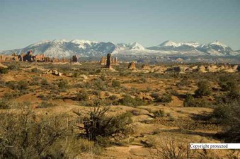 Enlarge photo 64