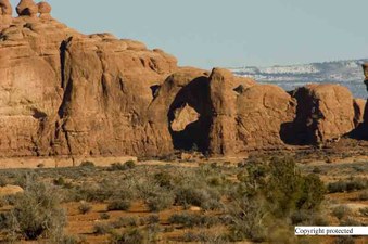 Enlarge photo 65