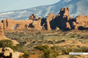 Enlarge photo 67