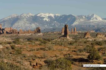 Enlarge photo 71