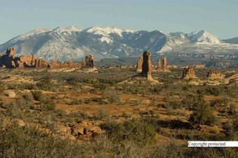 Enlarge photo 75
