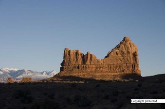 Enlarge photo 78