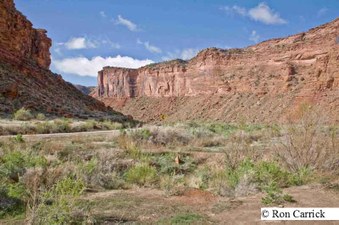 Enlarge photo 165