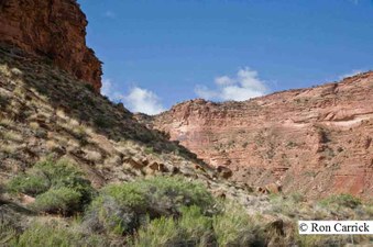 Enlarge photo 166