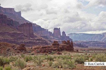 Enlarge photo 184