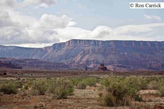 Enlarge photo 185