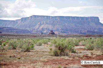 Enlarge photo 188